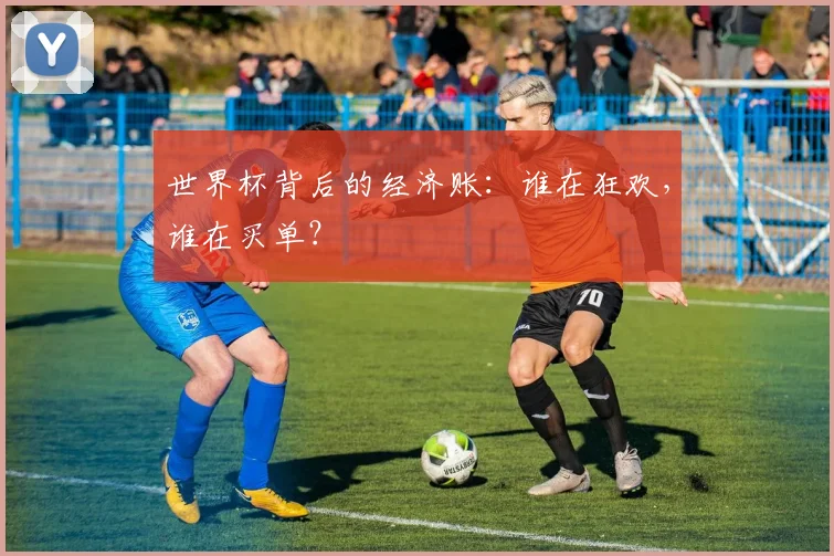 世界杯背后的经济账：谁在狂欢，谁在买单？