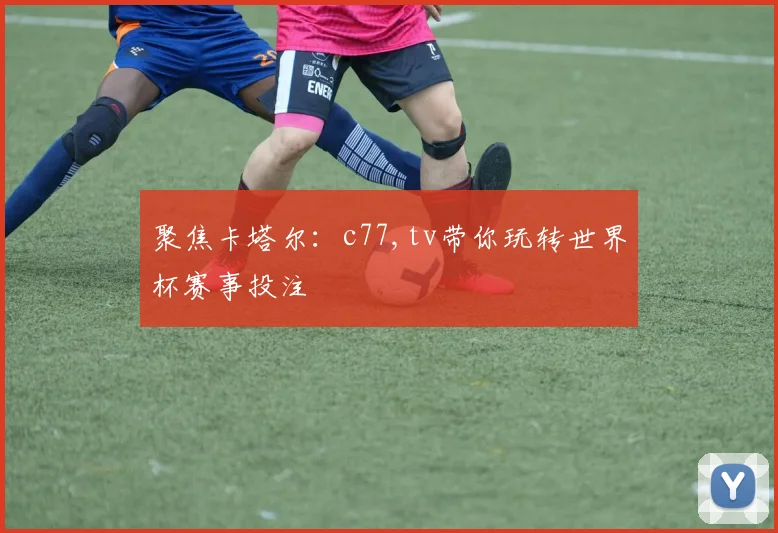 聚焦卡塔尔：c77,tv带你玩转世界杯赛事投注