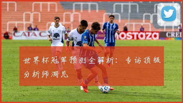 世界杯冠军预测全解析:专访顶级分析师洞见