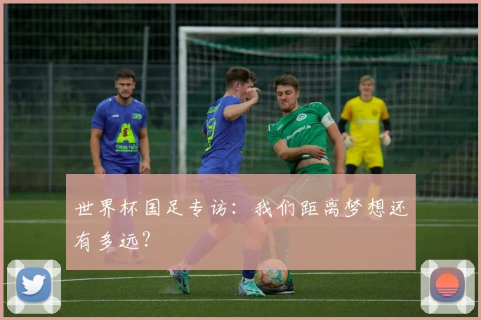 世界杯国足专访:我们距离梦想还有多远?